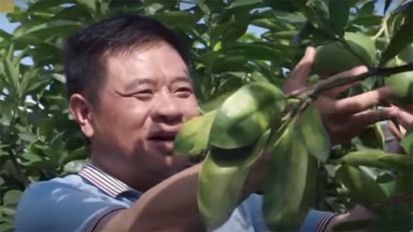 The Marxist Classes: China — From Hunger and Famine to Feeding Everyone