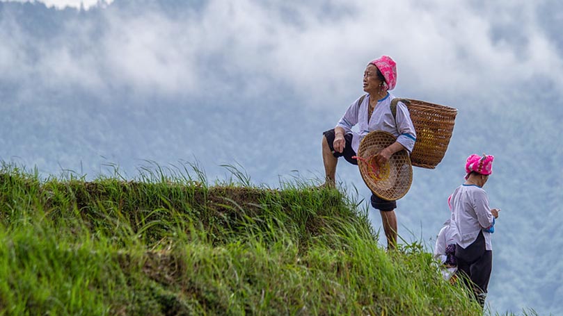 China: From hunger and famine to feeding everyone (webinar)