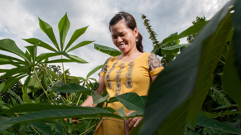 Vietnam’s path to socialism
