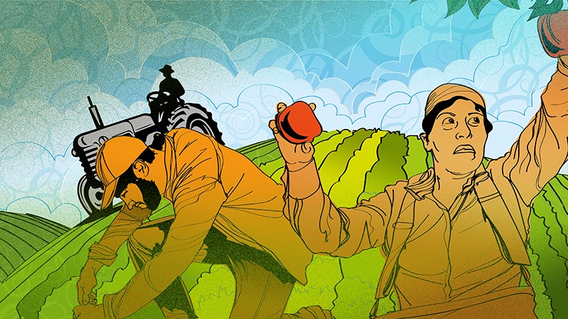 The Marxist Classes: Rural family and friends in the struggle for a better life