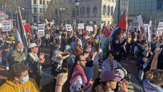 Party members in North Carolina join ceasefire march