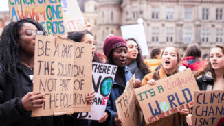 A turtle speaks: Land, wildlife, theory and praxis