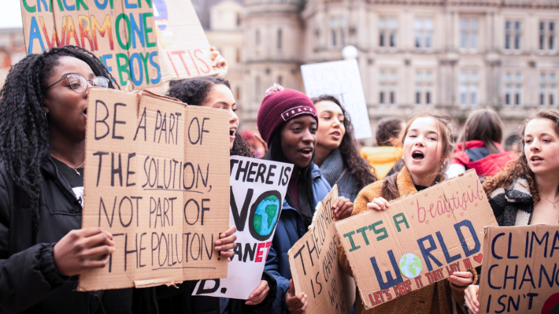 A turtle speaks: Land, wildlife, theory and praxis