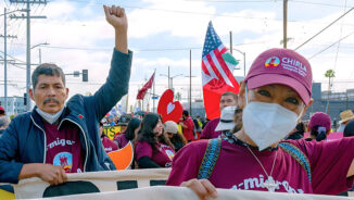 The fightback keeps growing
