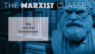 War and the environment
