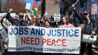 Demands at No Kings rallies pinpoint symptoms of a bigger sickness