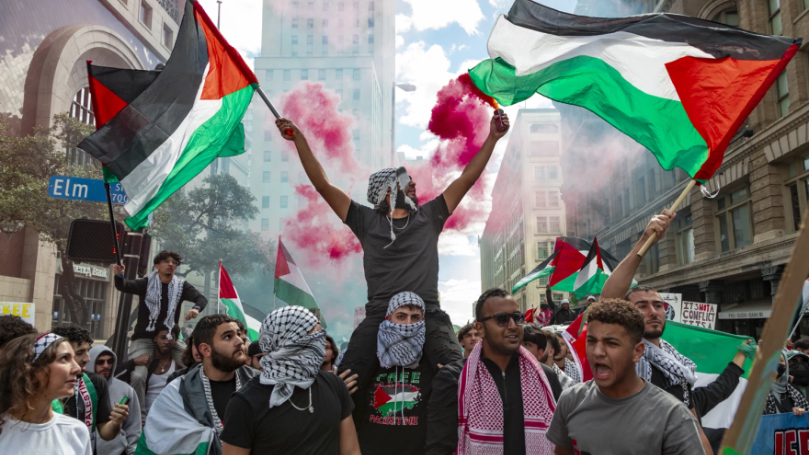 Zionist land sales: profiting from Palestinian dispossession